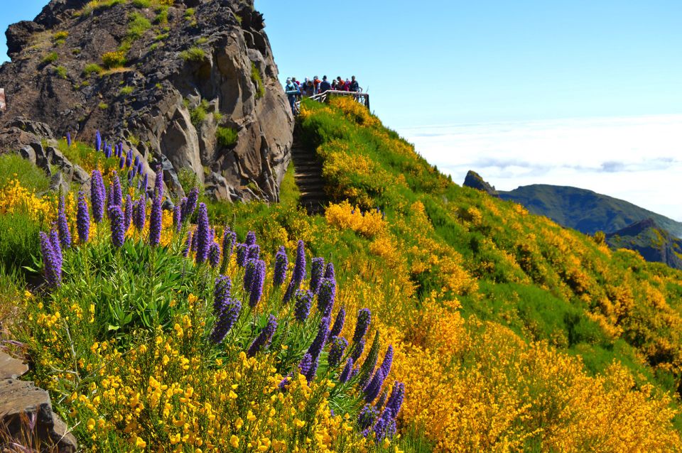 From Funchal: Madeira Peaks Mountain Walk - Difficulty and Limitations