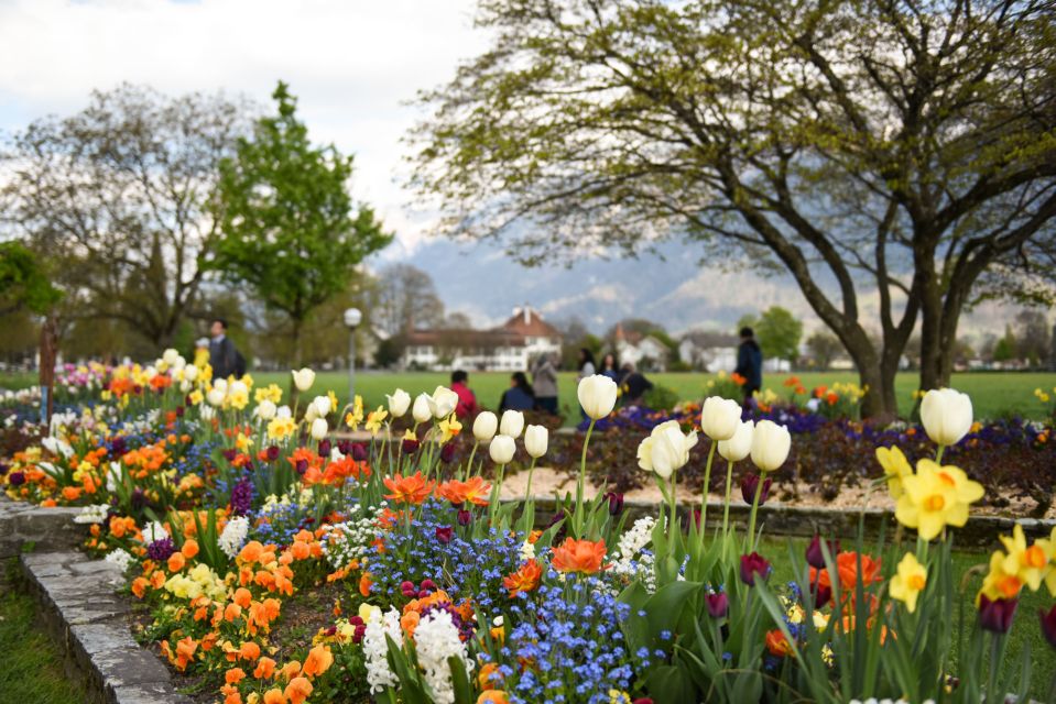 From Geneva: Private Trip to Interlaken City - Route Through Geneva Lake