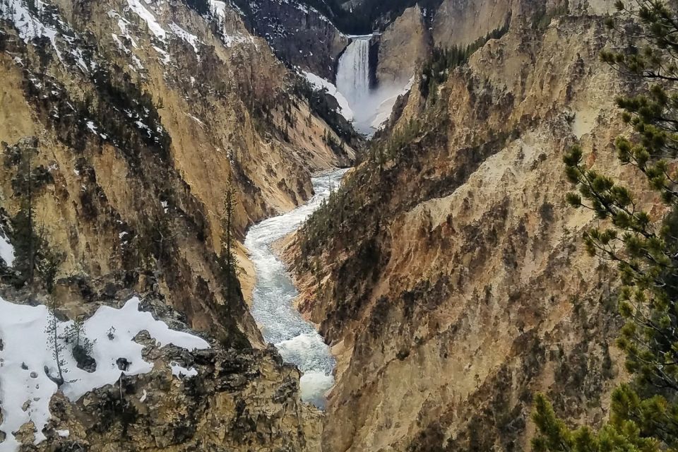 From Jackson: Yellowstone National Park Day Trip With Lunch - Scenic Hikes in the Canyon