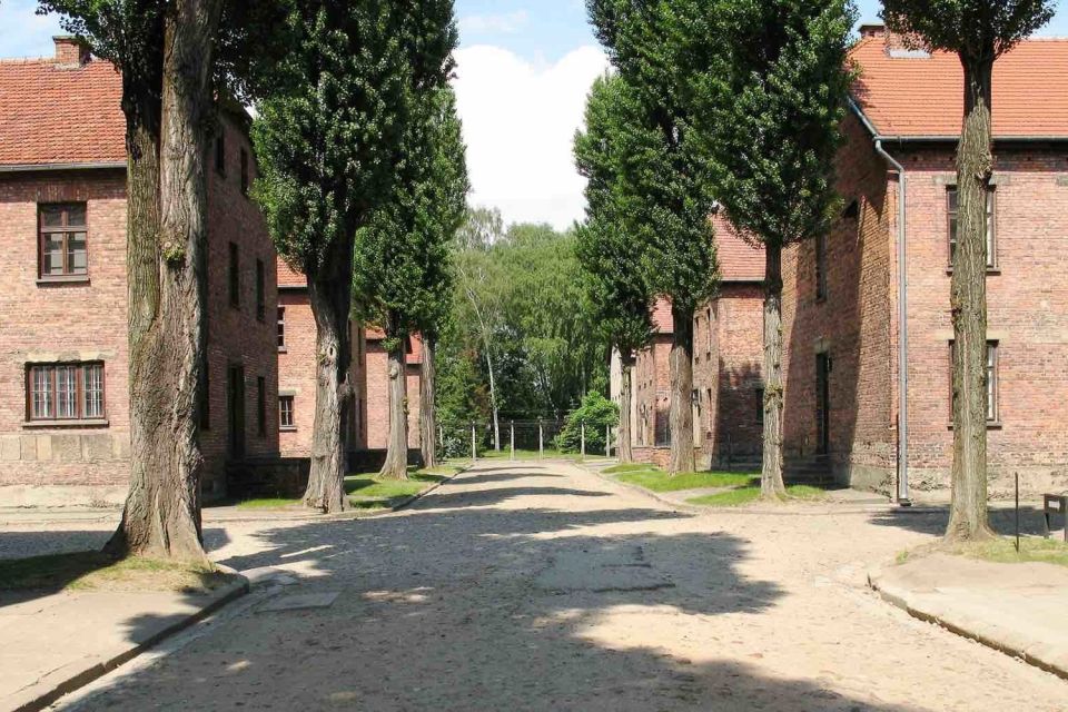 From Krakow: Auschwitz-Birkenau Licensed Tour & Transport - Customer Feedback