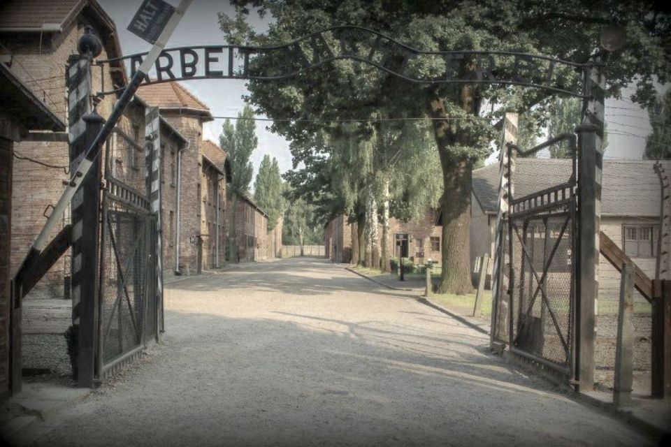 From Krakow: Auschwitz-Birkenau Private or Shared Tour - Important Visitor Information