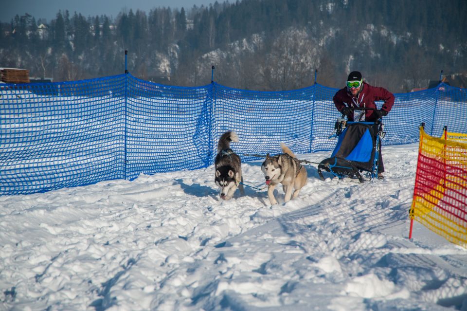 From Krakow: Dogsled Ride in Tatra Mountain - Capacity and Weight Limit