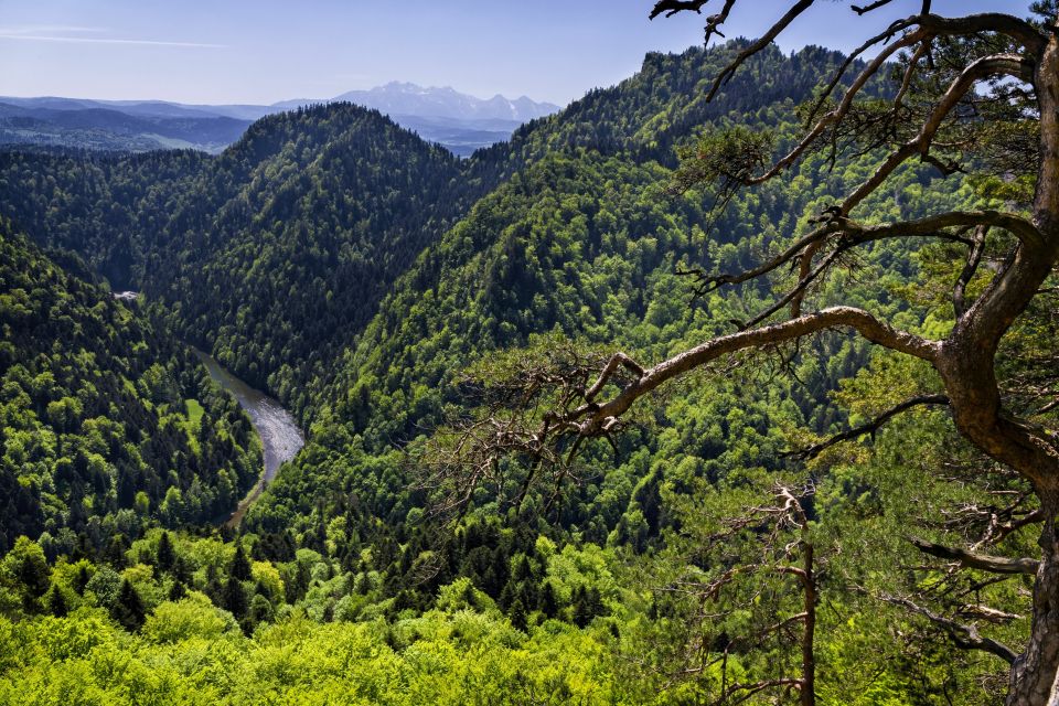 From Krakow: Dunajec Wooden Rafting Tour - Local Culture and History