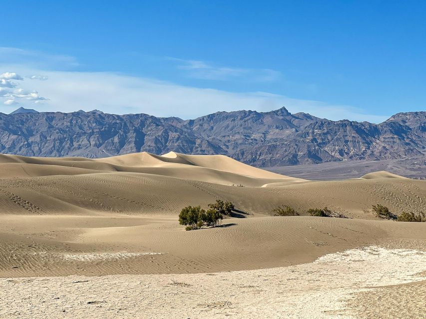 From Las Vegas: Small Group 10 Hour Tour at the Death Valley - Accessibility Information