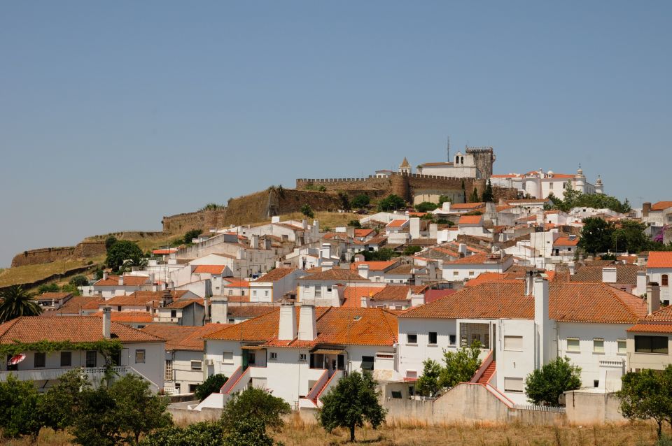 From Lisbon: Private Customized Small-Group Tour to Evora - Recap