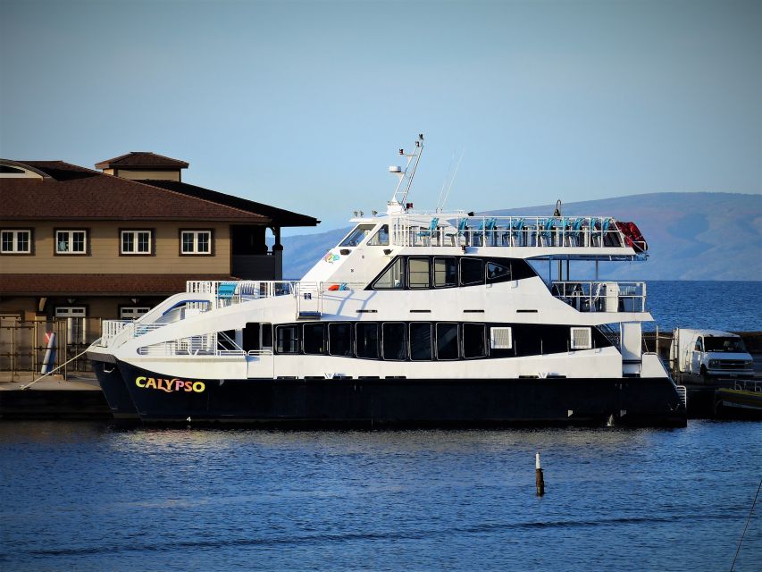 From Maalaea: Thanksgiving Dinner Cruise Aboard the Calypso - Thanksgiving Dinner Inclusions