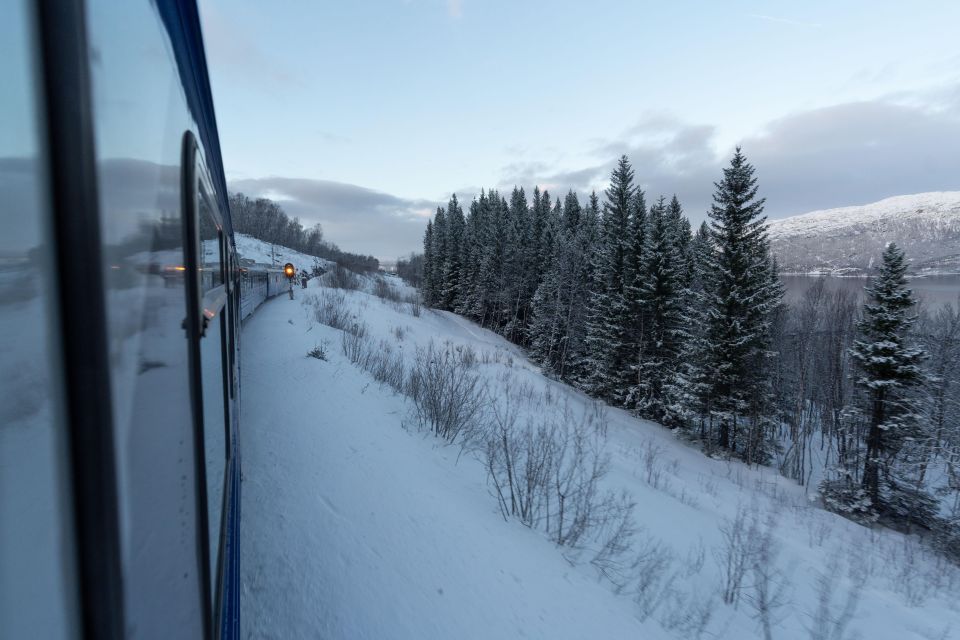 From Narvik: Round-Trip Arctic Train Ride on Ofoten Railway - Stunning Mountain Landscapes