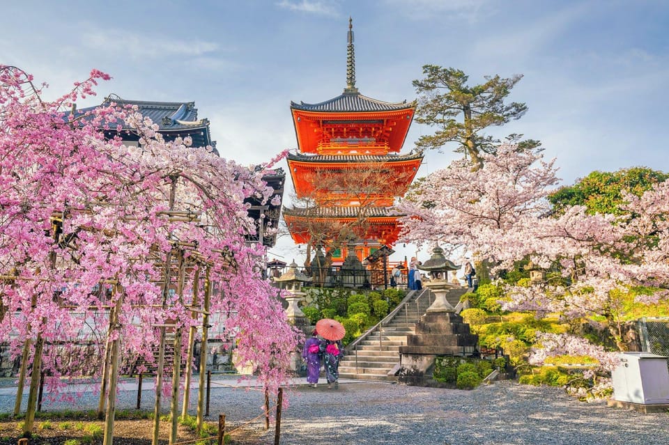 From Osaka or Kyoto : Kyoto & Nara Private Tour - Frequently Asked Questions