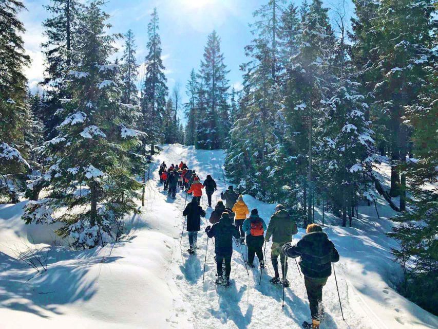 From Oslo: Oslomarka Forest Guided Snowshoeing Tour - Important Considerations