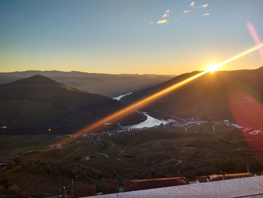 From Peso Da Régua: Visit 3 Wineries, Tasting and Viewpoint - Recap