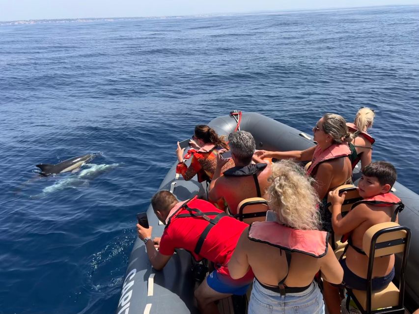 From Portimão: Dolphin Watch & Lagos Coastline With Biologist - Opportunity to Swim