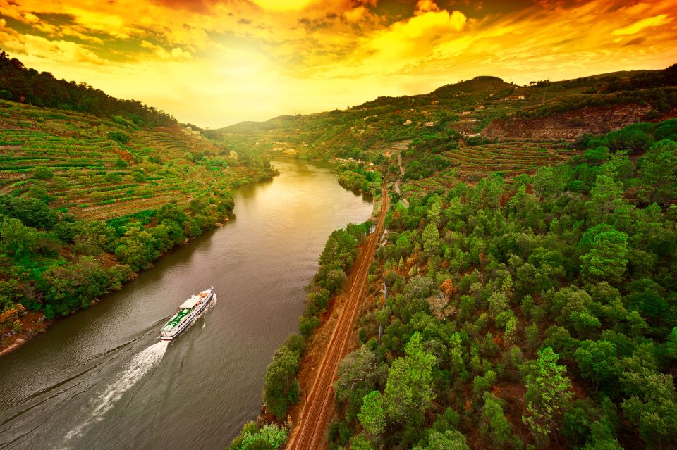 From Porto: Full-Day Douro Historical Tour - Cancellation and Reservation Policy