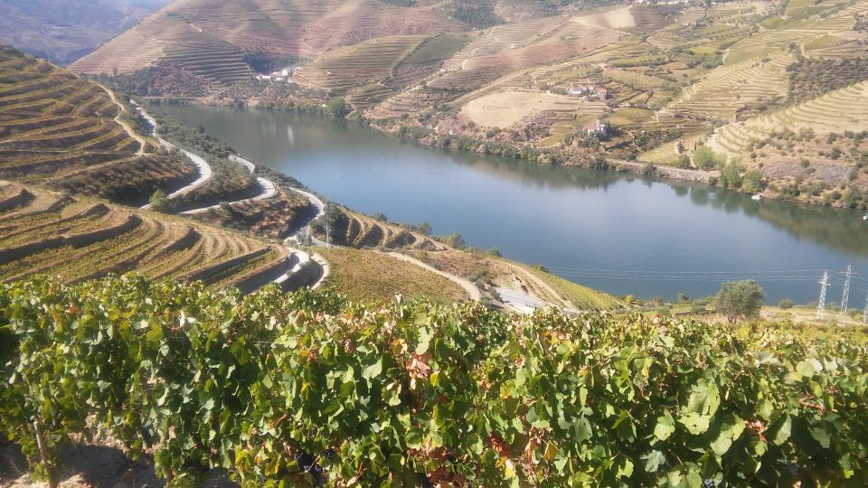 From Porto: Private Douro Valley Tour With Cruise and Wine - Professional Driver and Local Guide