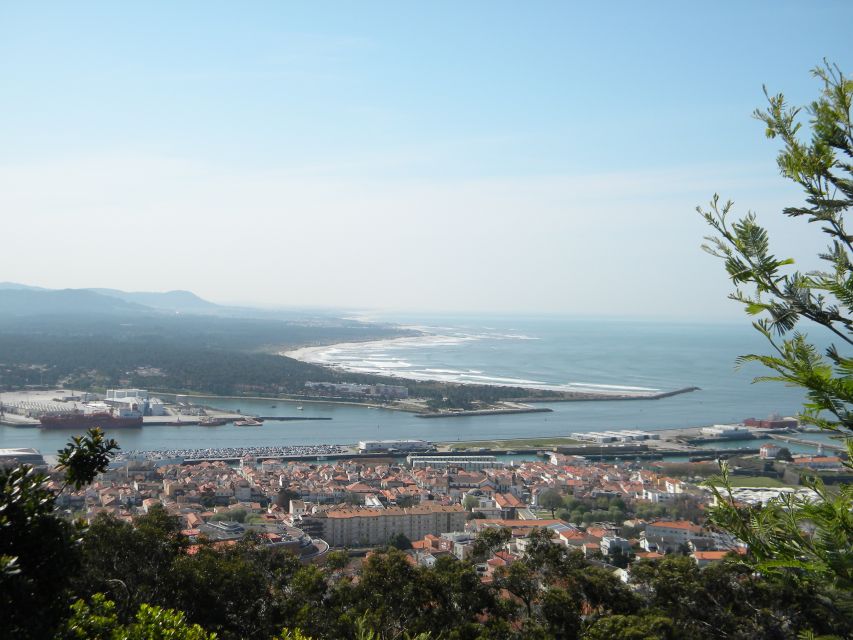 From Porto: Viana Castelo and Ponte Lima Private Tour - Transportation and Amenities