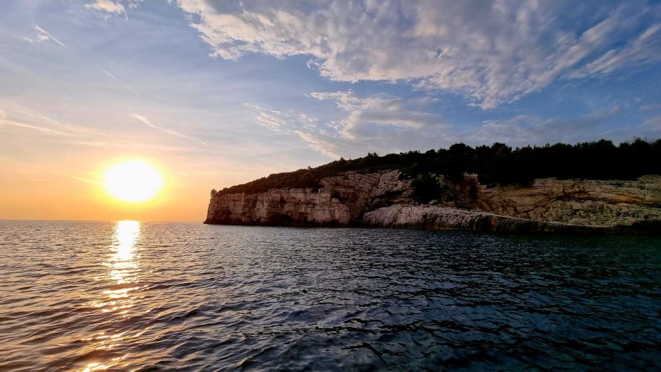 From Pula: Private Boat Tour and Brijuni National Park - Discovering Brijuni National Park