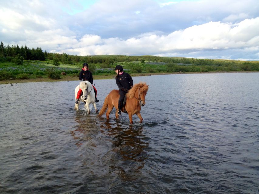 From Reykjavik: Evening Horseback Tour With Transfer - Suitable for Beginners