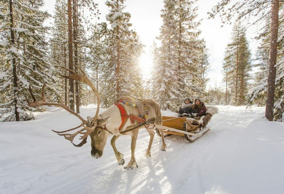 From Rovaniemi: Lapland Reindeer and Husky Sled Safari - Frequently Asked Questions