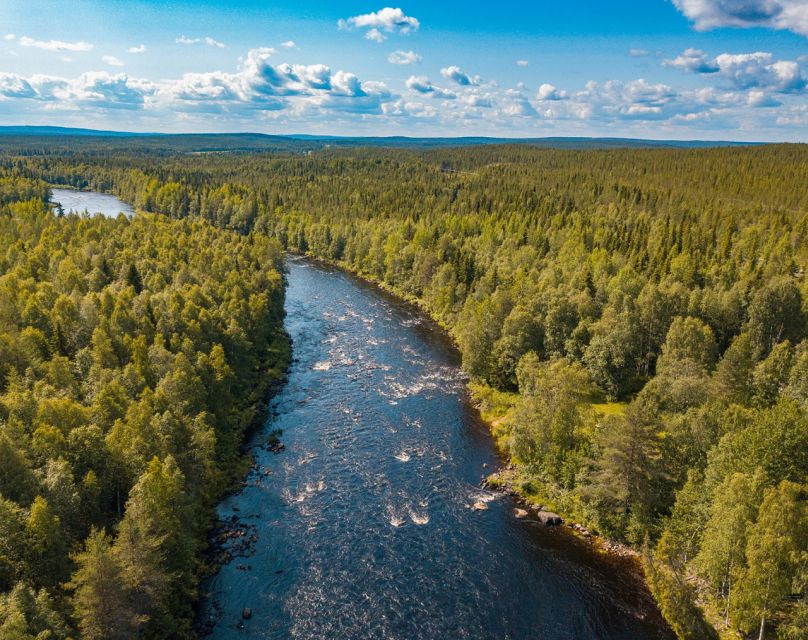 From Rovaniemi: Vikaköngas Forest Hiking Tour With BBQ - Vegetarian/Vegan Options