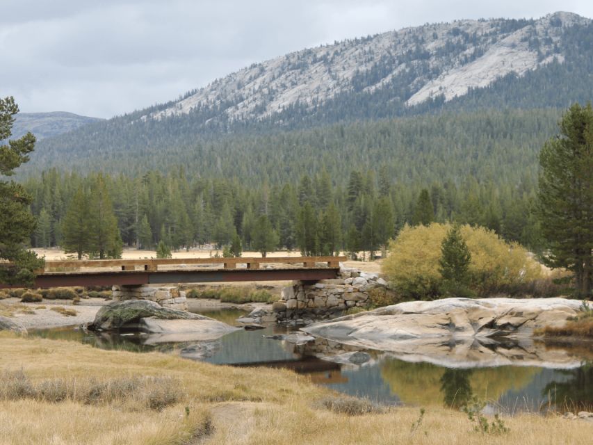 From San Francisco: Yosemite National Park Private Day Tour - Transportation and Inclusions