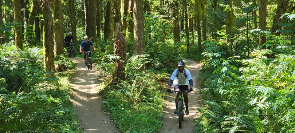 From Seattle: Full Day All-Inclusive Mountain Bike Tour - Guided Trail Exploration