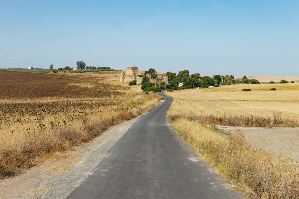 From Seville: Pueblos Blancos and Ronda Full-Day Trip - Tips for a Great Experience