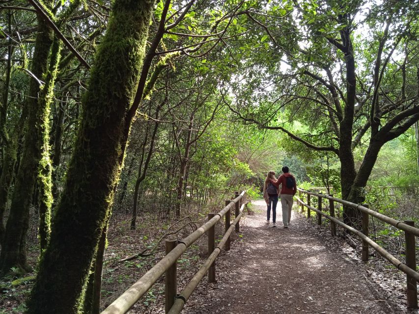 From Tenerife: La Gomera Day Trip With Guide - What to Expect