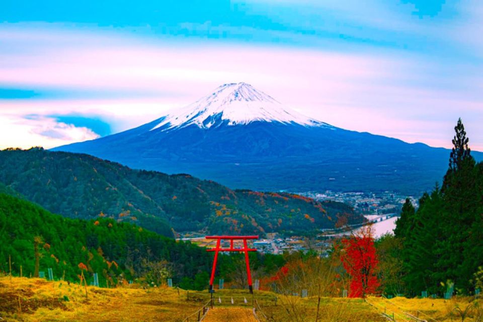 From Tokyo: Private Mount Fuji & Hakone Full-Day Guided Trip - Departure and Return Details