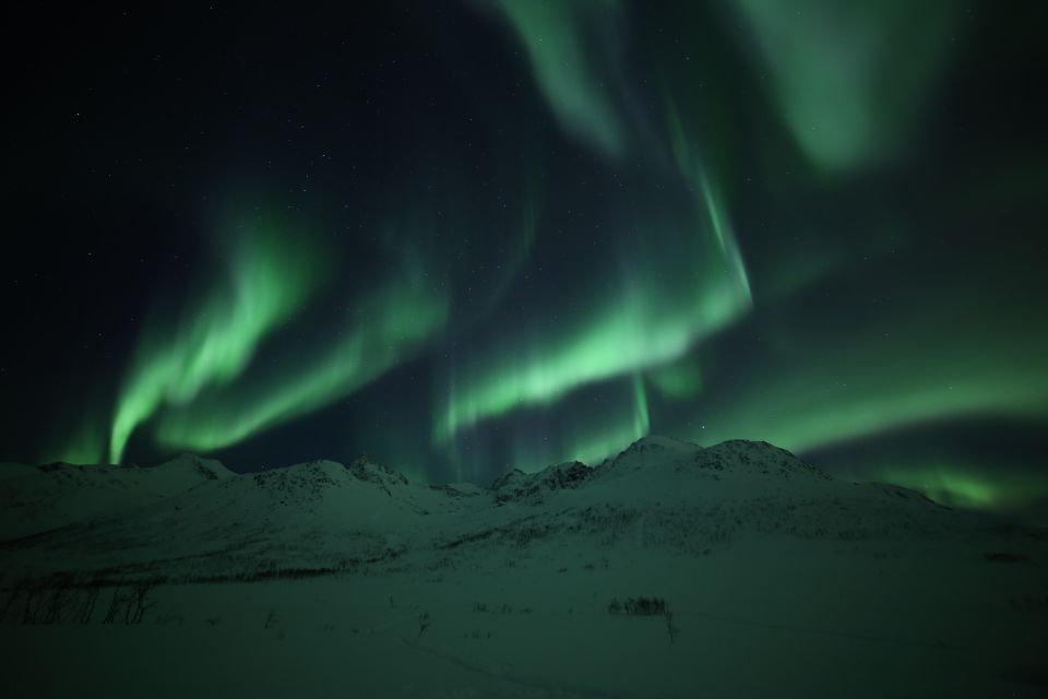 From Tromso: Northern Lights Photography Tour - Guides Knowledge of Northern Norway