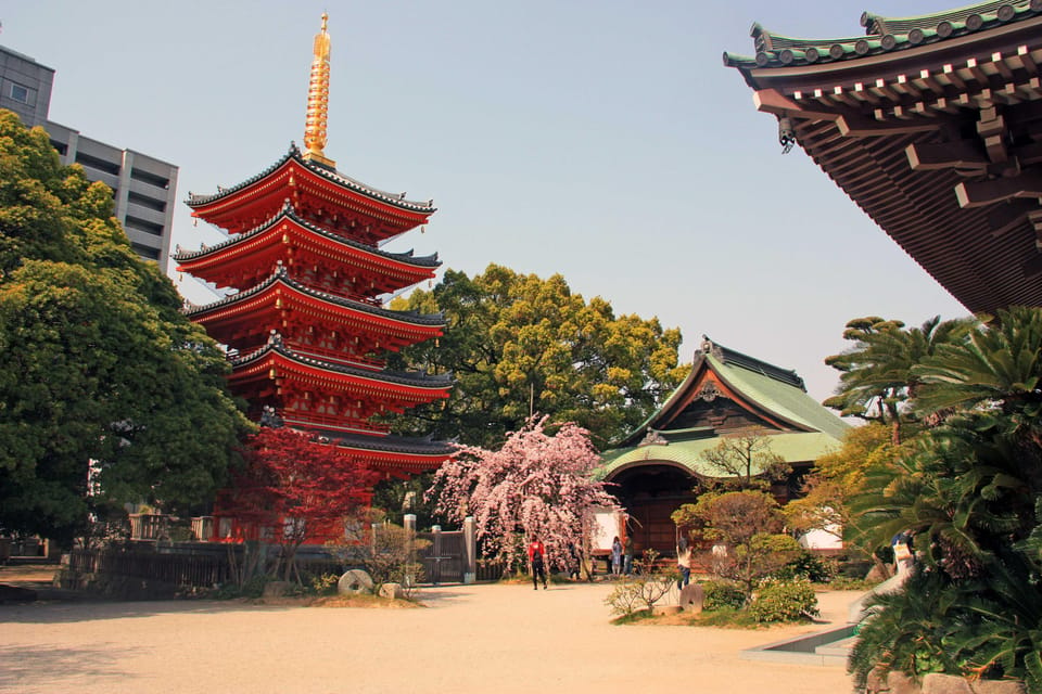 Fukuoka Essentials: History, Culture, & Charms - Scenic Hakata Station Rooftop