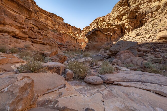 Full-Day 8 Hour Jeep Tour Into Wadi Rum Protected Area With Stay - Meeting Points