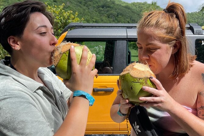 Full Day Cultural Jeep Two Island Tour, St. Thomas/Water Island - Reviews and Accolades