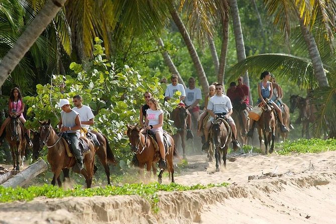 Full Day Excursion to Samana From Punta Cana - Activity and Accessibility Information