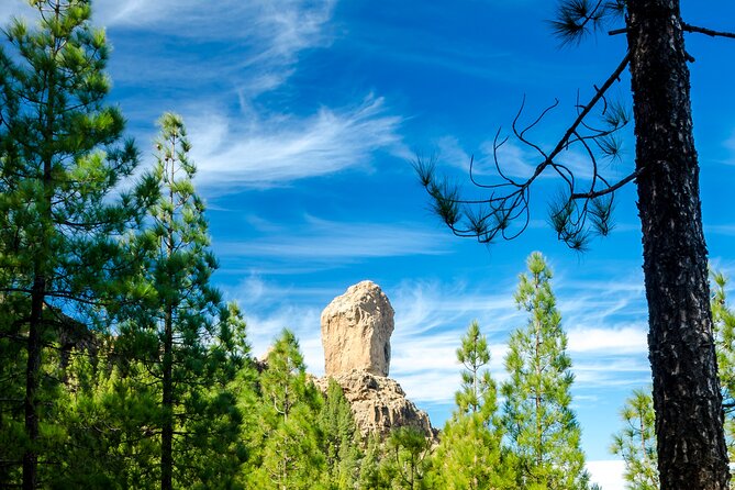 Full-Day Gran Canaria Tour With Teror, Tejeda and Lunch in Fataga - Visiting the Aloe Vera Plantation