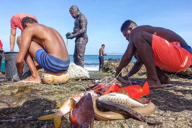 Full Day Island Tour, Highlights of São Vicente - Mindelo Local Market Exploration