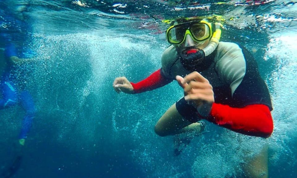 Full Day Leon Dormido and Lobos Island Tour - Observations at Lobos Island