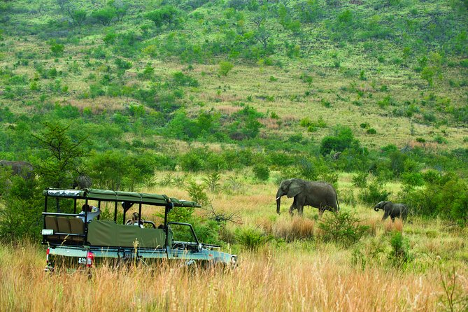 Full Day Pilanesberg Safari Adventure - Booking Details and Cancellation