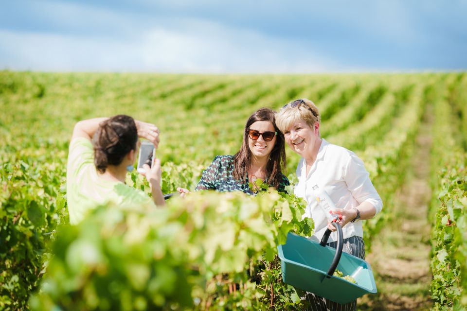 Full Day Pommery Small Group Tour - Avenay-Val-dOr Tour and Tasting