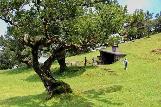 Full Day Private 4x4 Tour in West Madeira With Local Guide - Booking and Cancellation Policy