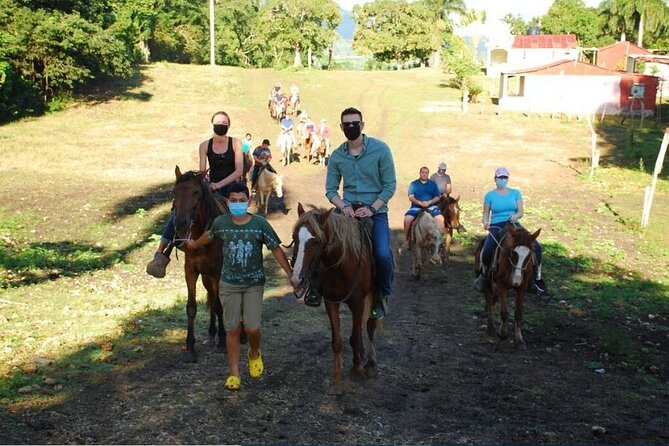 Full Day Safari, Zipline, Buggies and Horse Riding - Cancellation Policy