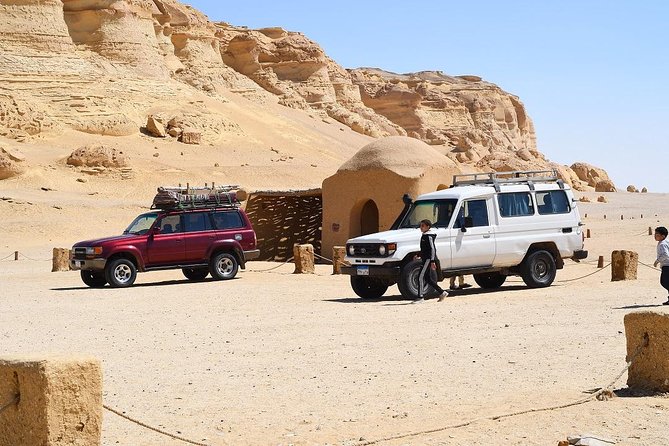 Full Day Trip to El-Fayoum Oasis & Wadi El-Hitan From Cairo - Accessibility and Restrictions