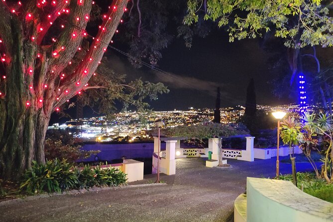 Funchal Christmas Lights Sightseeing Night Tour - Inclusions and Exclusions