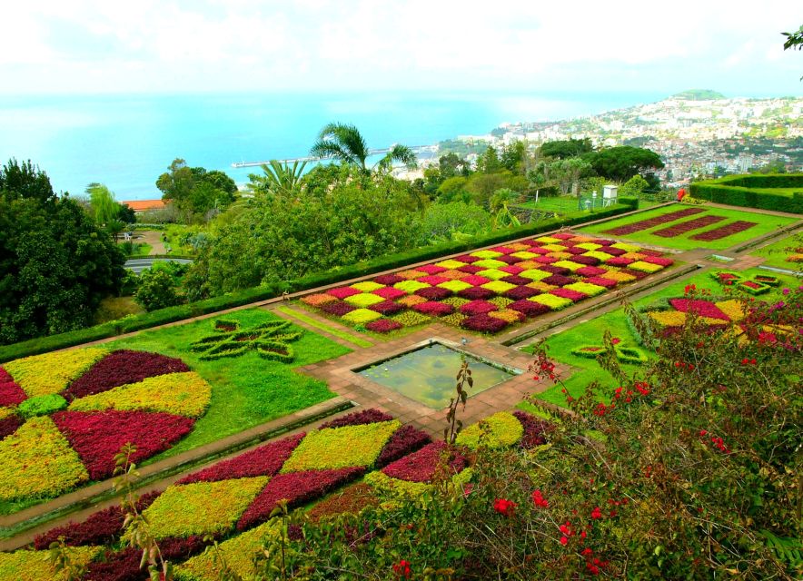 Funchal: Madeira Botanical Garden Private Tuk-Tuk Tour - Plants and Natural Wonders