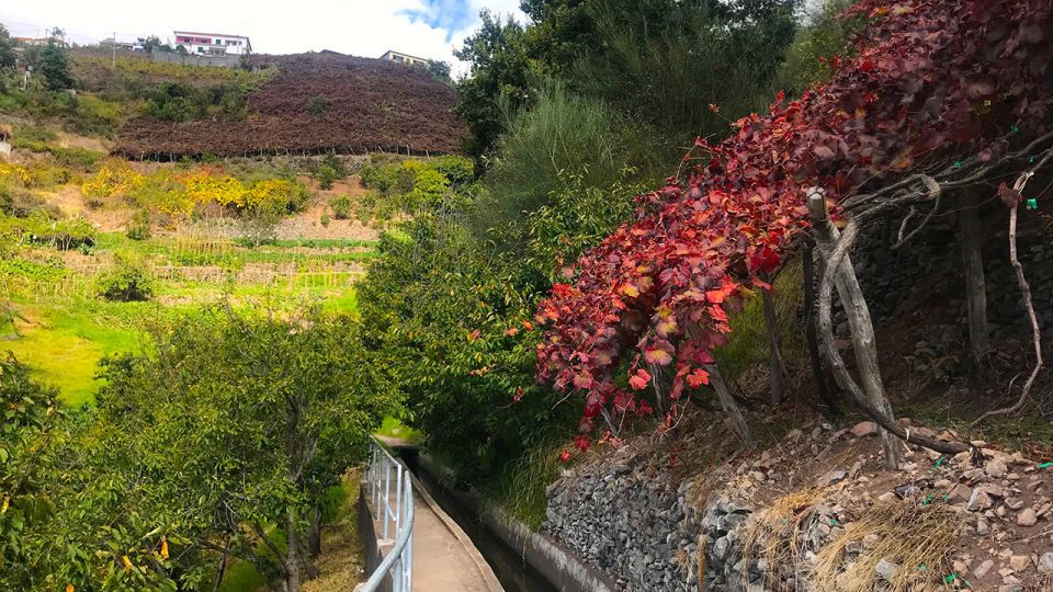 Funchal: Northern Levada Walking Tour - Tour Highlights