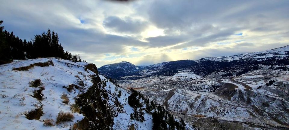 Gardiner: Yellowstone National Park Wildlife Guided Tour - Wildlife Viewing Opportunities