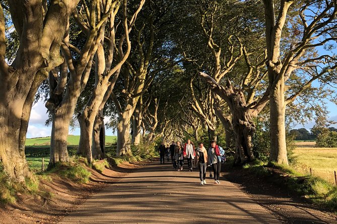 Giants Causeway, Rope Bridge, Carrickfergus Castle and Dark Hedges Tour - Accessibility and Transportation