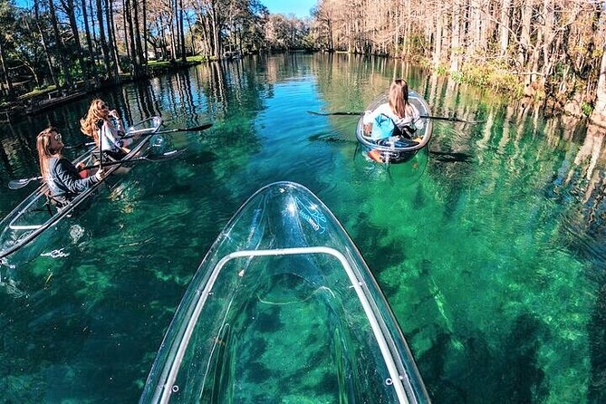 Glass Bottom Kayak Eco Tour Through Rainbow Springs - Unique Underwater Views