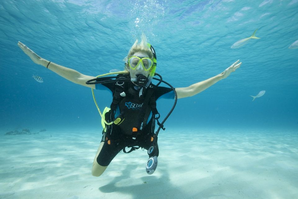 Gran Canaria: Scuba Diving for Beginners - Things To Known