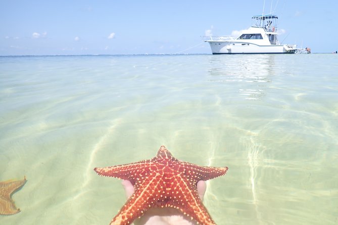 Grand Cayman Cruise: Starfish Point, Stingray City, Coral Garden - Coral Garden: Snorkeling Adventure