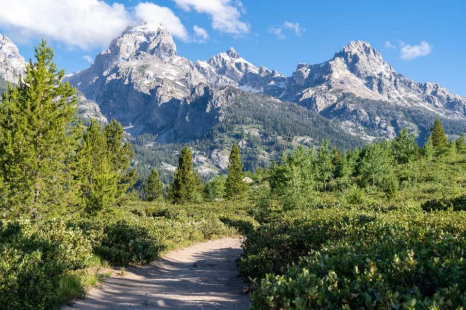 Grand Teton, Yellowstone, Glacier NP: Self-Guided Audio Tour - National Elk Refuge & Greater Yellowstone Visitor Center