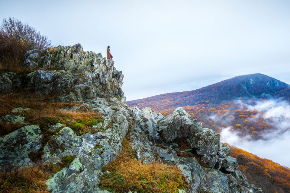 Great Smoky & Shenandoah National Park Driving Audio Tour - Diverse Wildlife and Trails